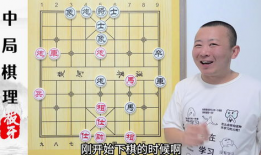 象棋入门教学视频,象棋入门教学视频精华概述